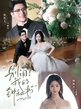 鲁大师在线高清免费视频播放器