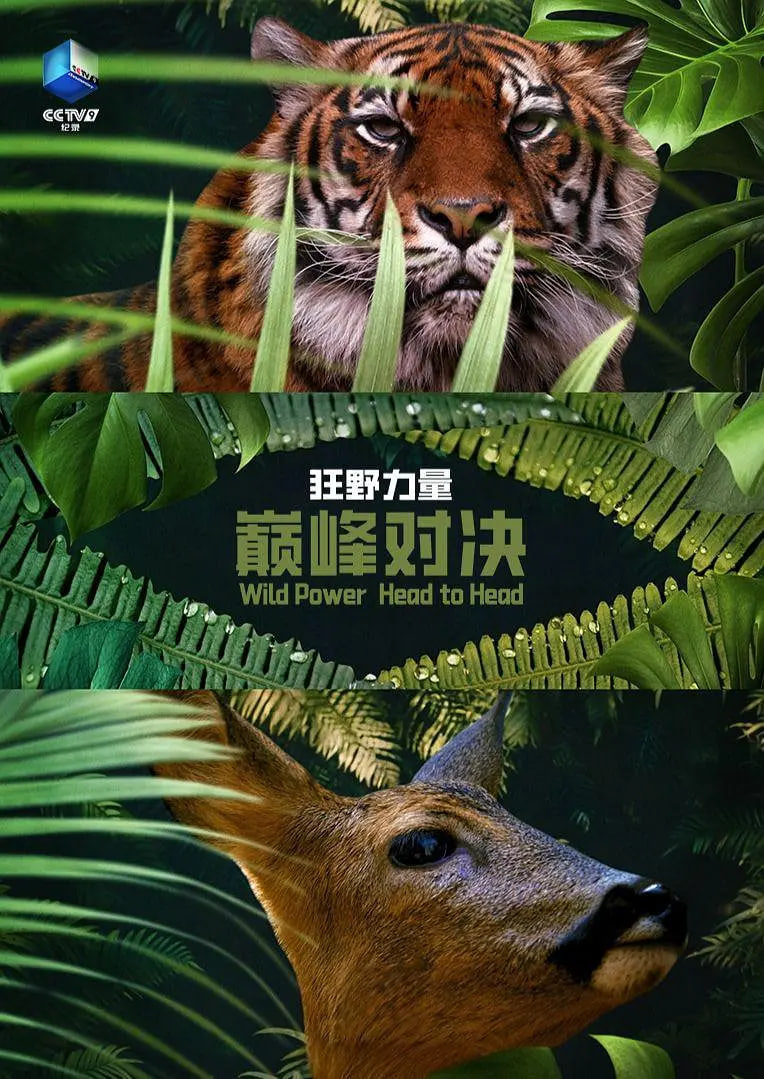 一区二区三区四区五区影视