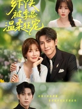 鲁大师免费看日韩电影