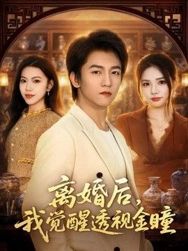 鲁大师海外华人影视